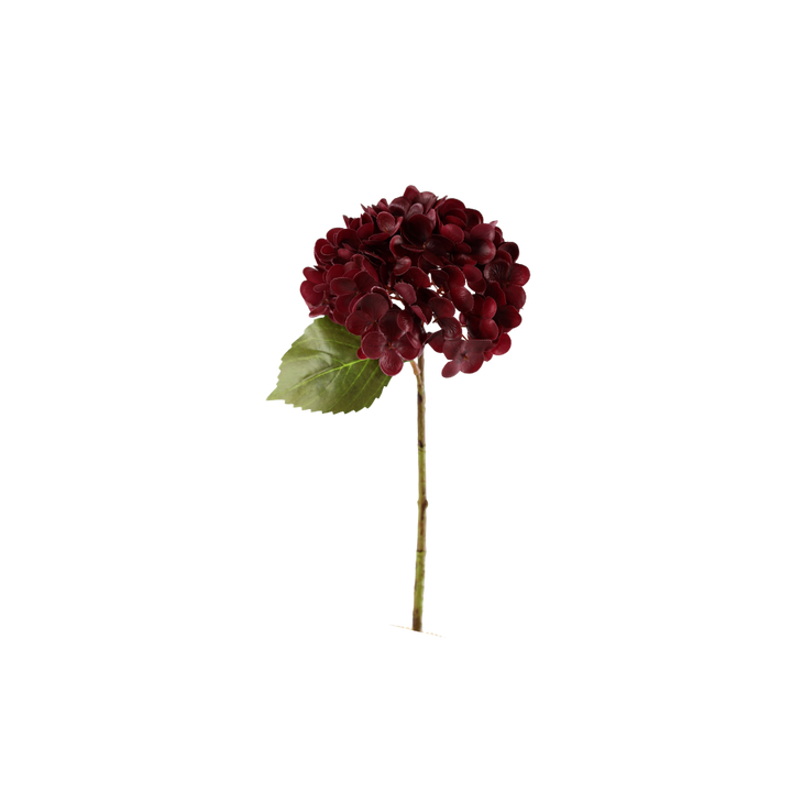 Hortensia Blomst (H32cm) Bordeaux