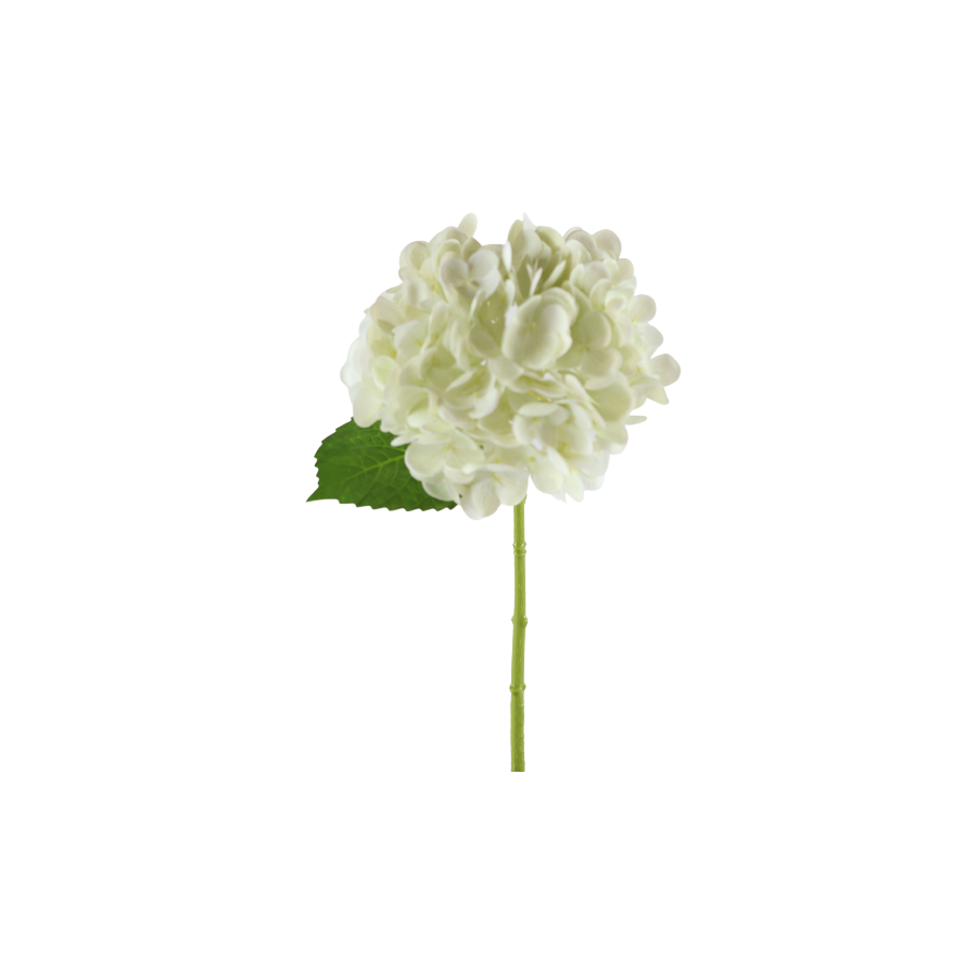 Hortensia Blomst  (H32cm) Hvid