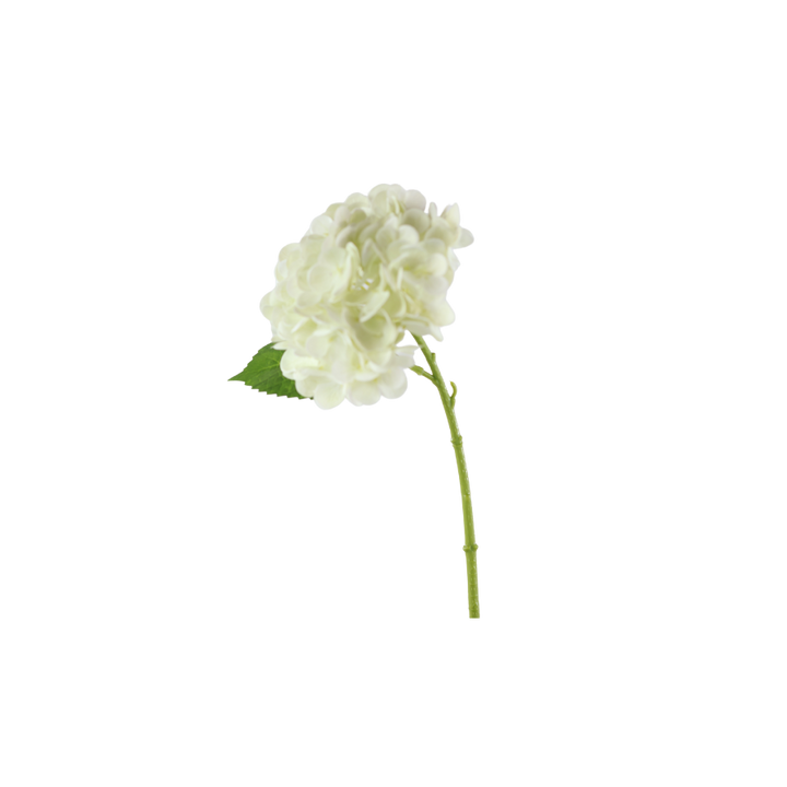 Hortensia Blomst  (H32cm) Hvid