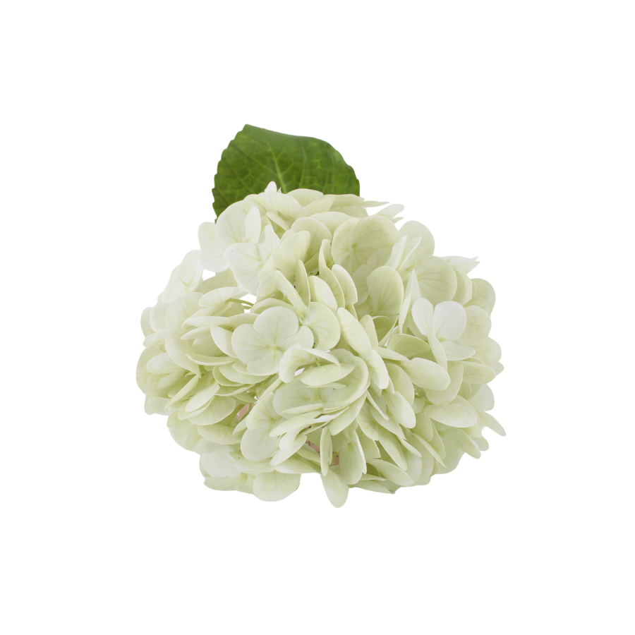 Hortensia Blomst  (H32cm) Hvid