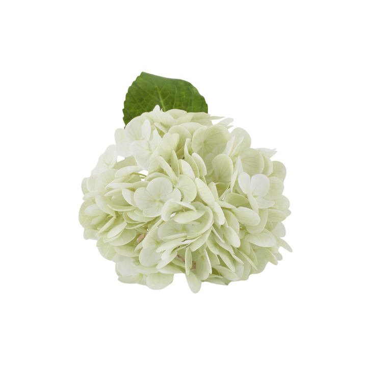 Hortensia Blomst  (H32cm) Hvid