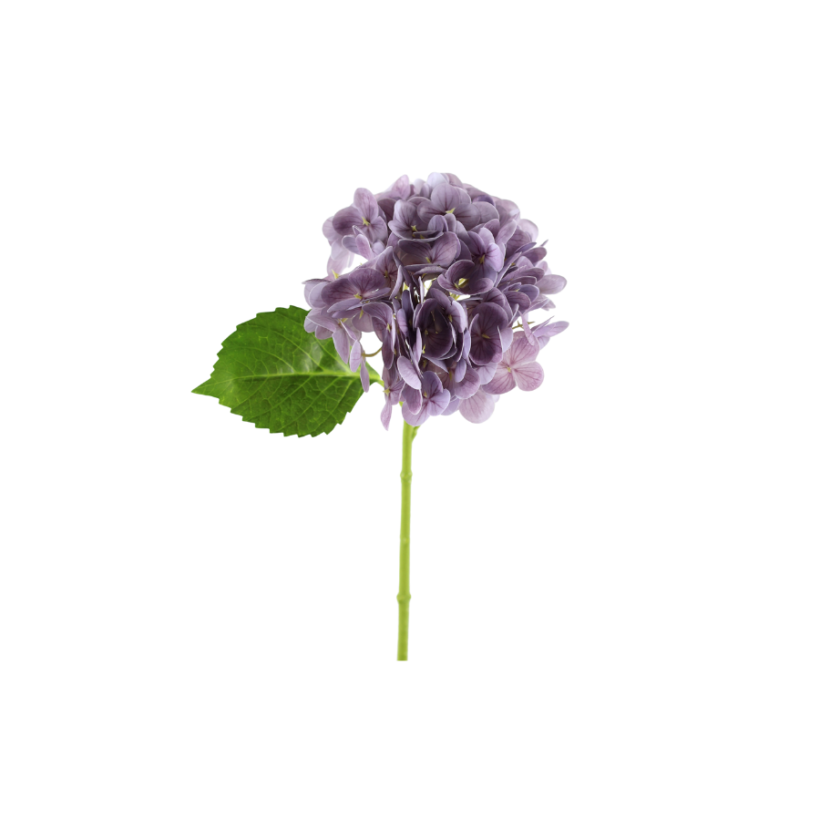Hortensia Blomst  (H32cm) Lilla
