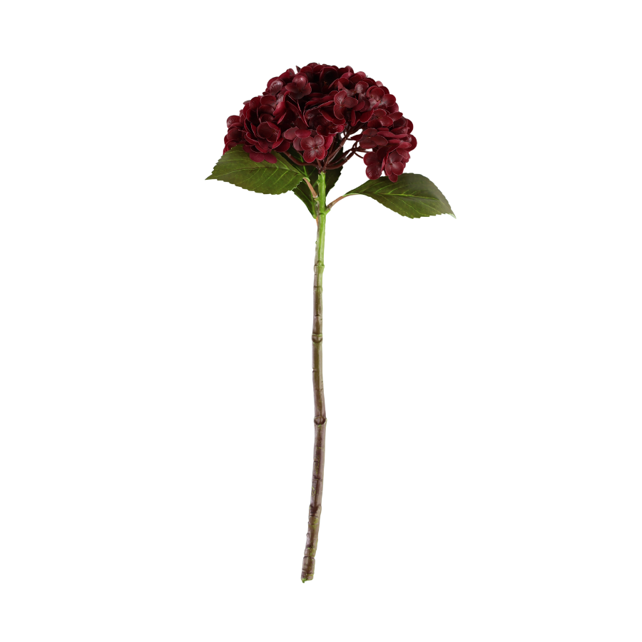 Hortensia Blomst (H55cm) Bordeaux