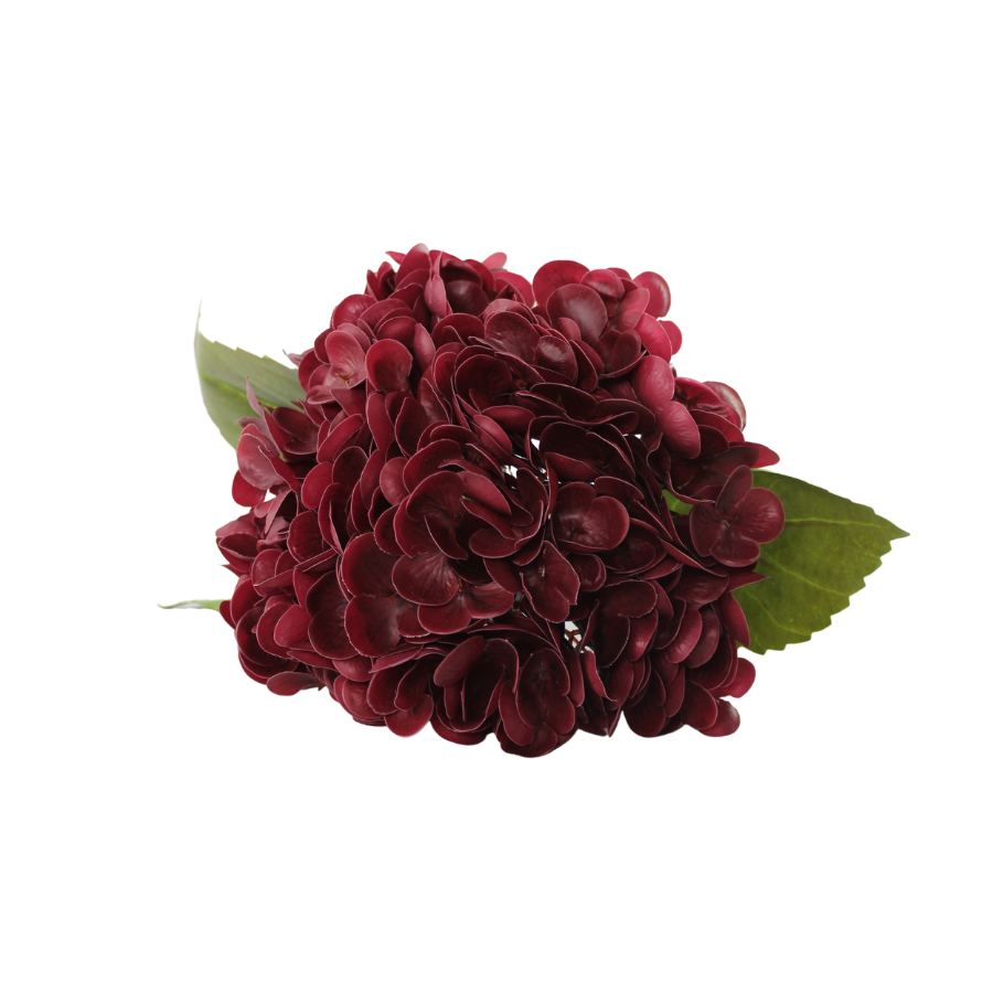 Hortensia Blomst (H55cm) Bordeaux