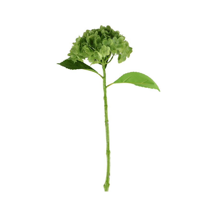 Hortensia Blomst  (H55cm) Grøn