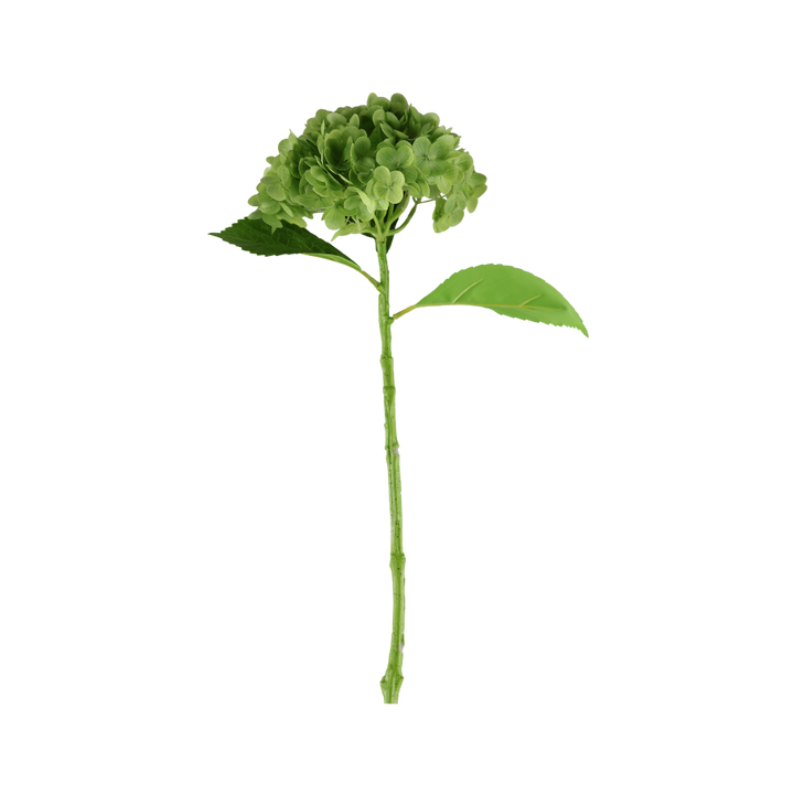 Hortensia Blomst  (H55cm) Grøn