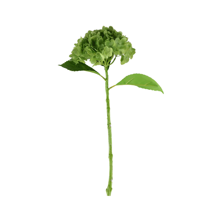 3 stk. Hortensia Blomster i Grøn (H55cm)