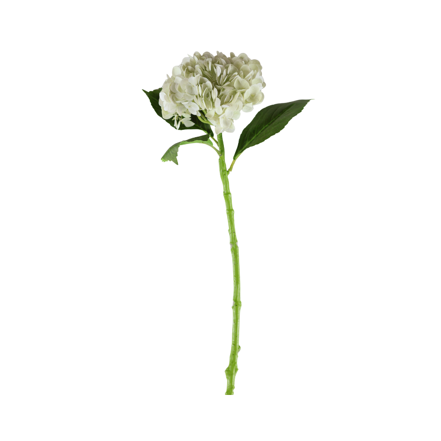 Hortensia Blomst  (H55cm) Hvid