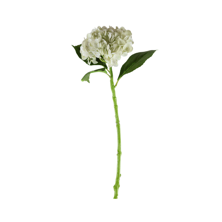 Hortensia Blomst  (H55cm) Hvid