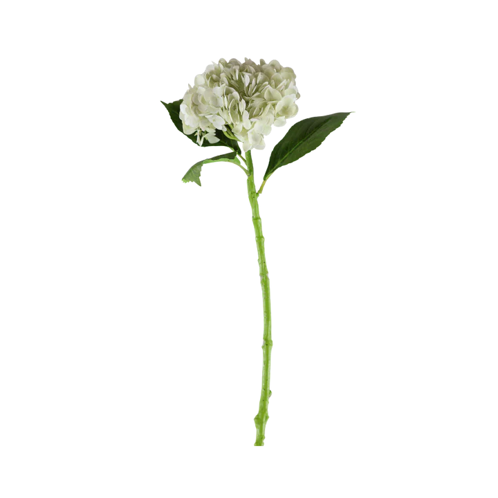 3 stk. Hortensia Blomster i Hvid (H55cm)