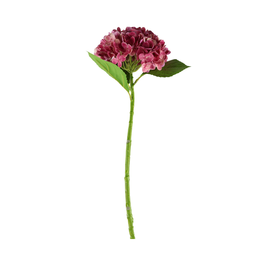 Hortensia Blomst  (H55cm) Lyserød