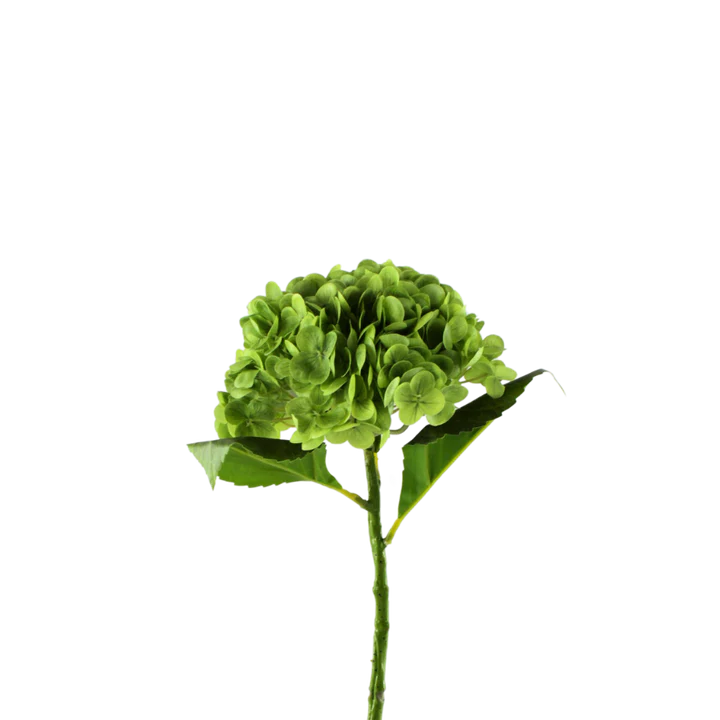 3 stk. Hortensia Blomster i Grøn (H55cm)