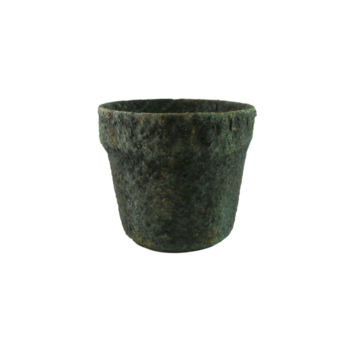 Muubs - Krukke Mosu 16 Mos grøn (17x16cm)