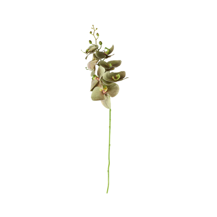 3 stk. Orkide Blomster i Grøn (H75cm)