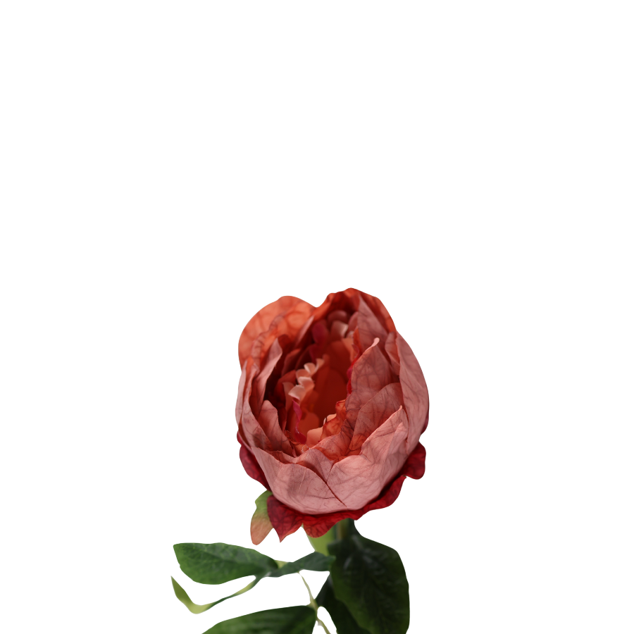 Pæon Blomst (H57cm) Rød