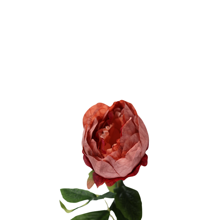 Pæon Blomst (H57cm) Rød