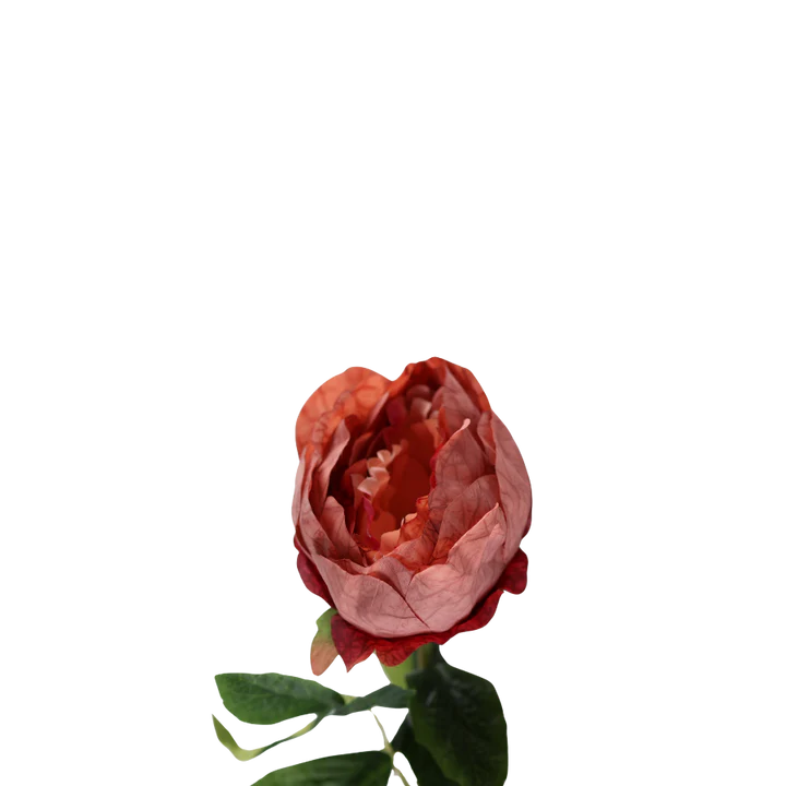 3 stk. Pæon Blomster i Rød (H57cm)