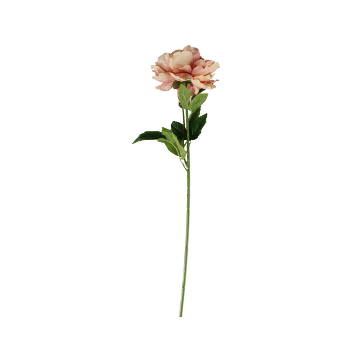 Pæon Blomst (H64cm) Lyserød