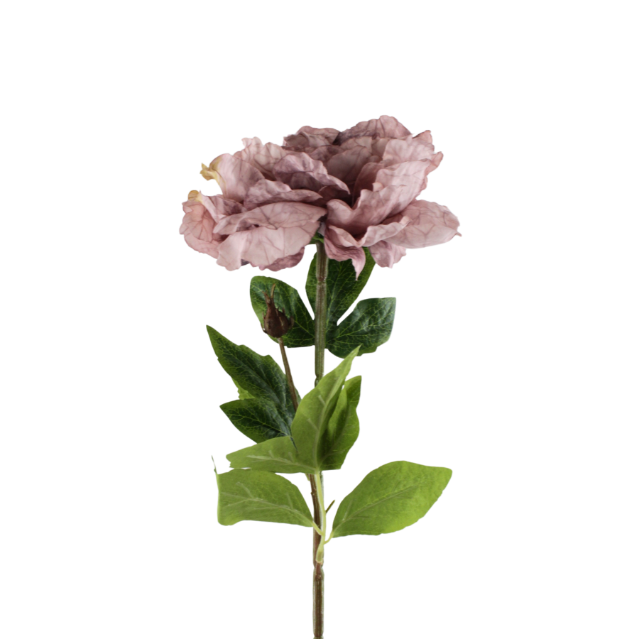 Pæon Blomst (H64cm) Lyse Lilla