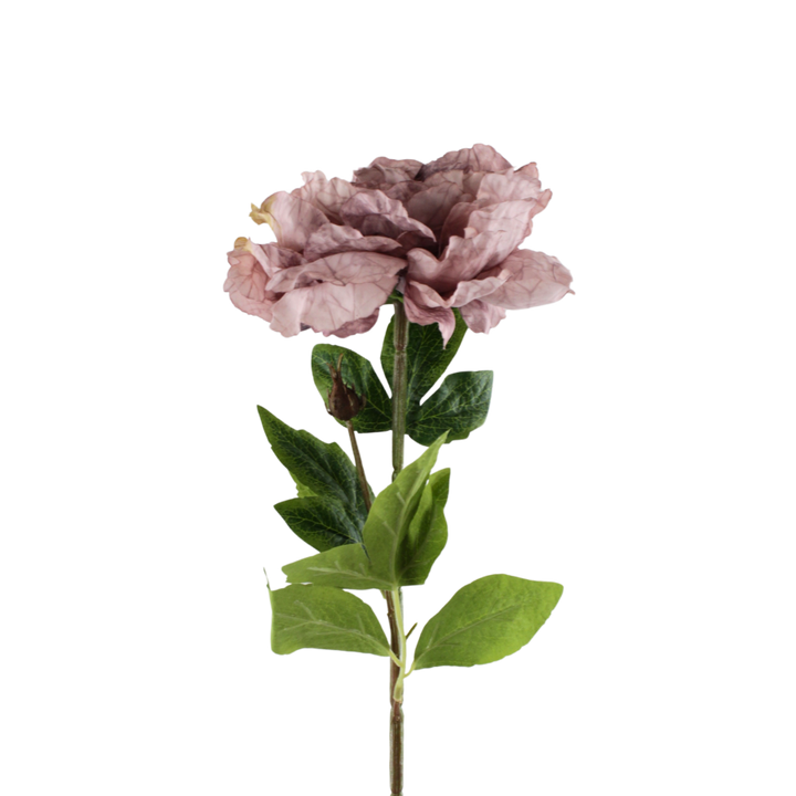 Pæon Blomst (H64cm) Lyse Lilla