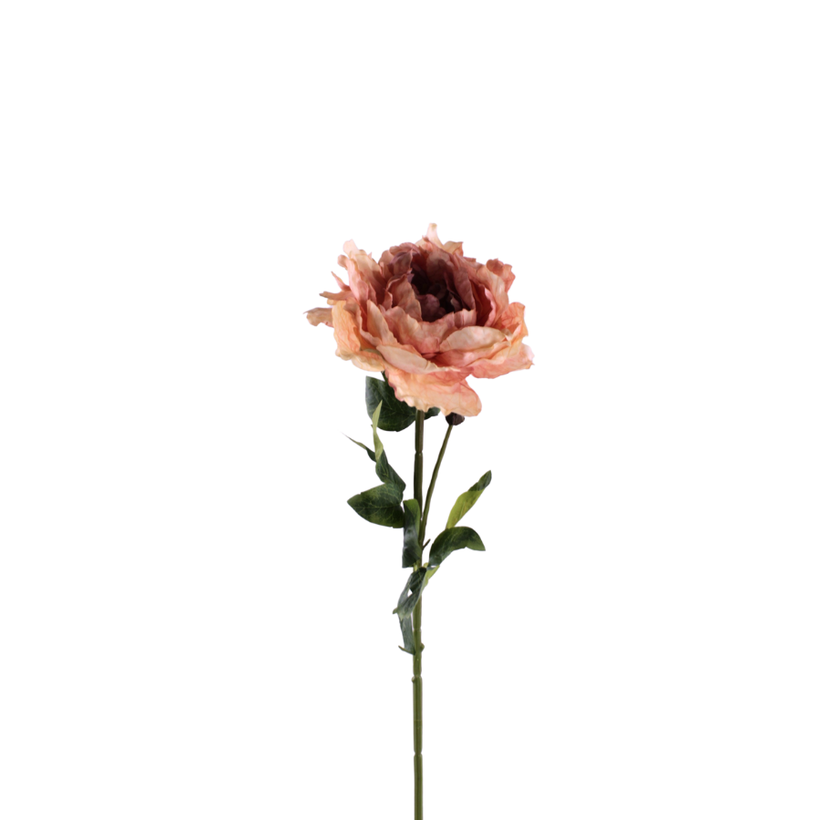 Pæon Blomst (H64cm) Lyserød