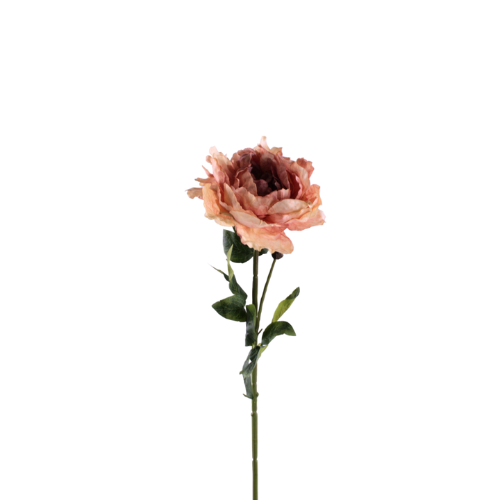 Pæon Blomst (H64cm) Lyserød