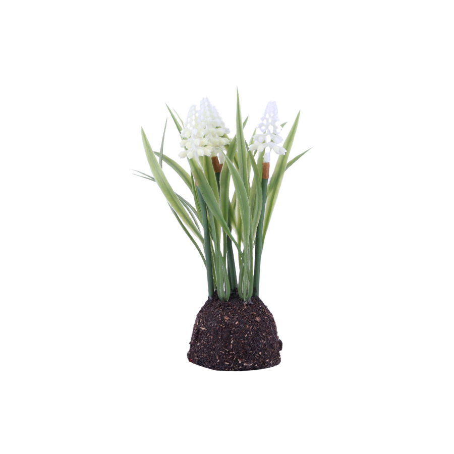 Perlehyacint Moskugle Hvid (24cm)