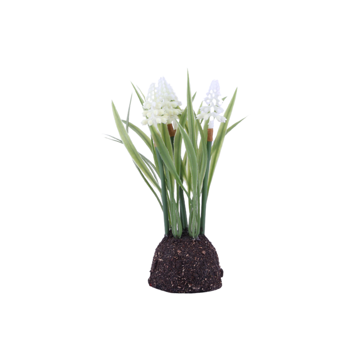 Perlehyacint Moskugle Hvid (24cm)