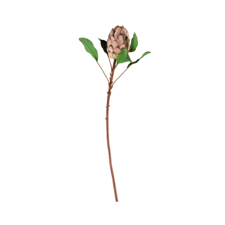 Protea i Pale Pink Farve. 65cm