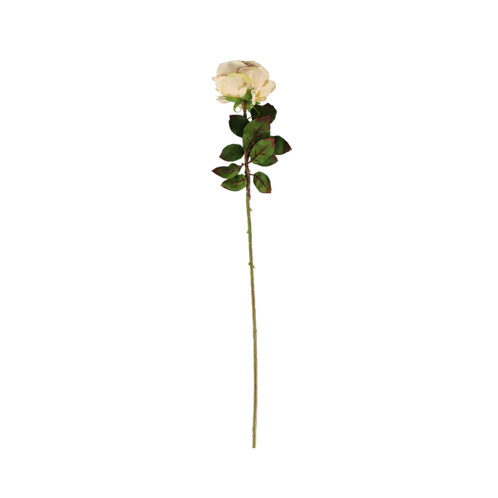 3 stk. Roser i Champagne Farve (H68cm)