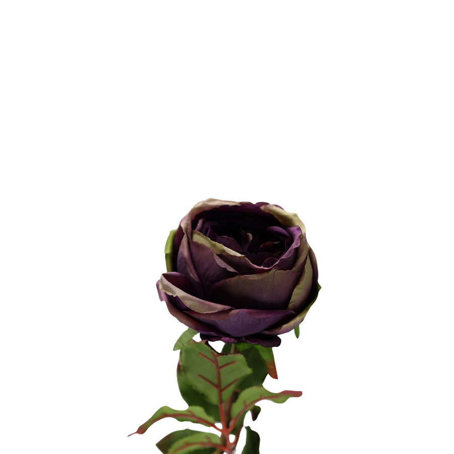 Rose i Lavendel Farve. 68cm