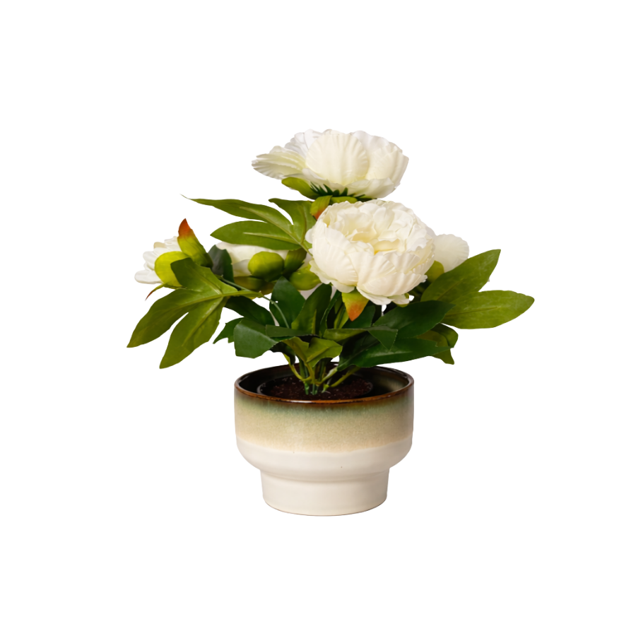 Rose i Potte Hvid 35cm