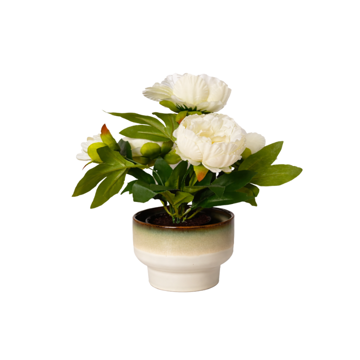 Rose i Potte Hvid 35cm