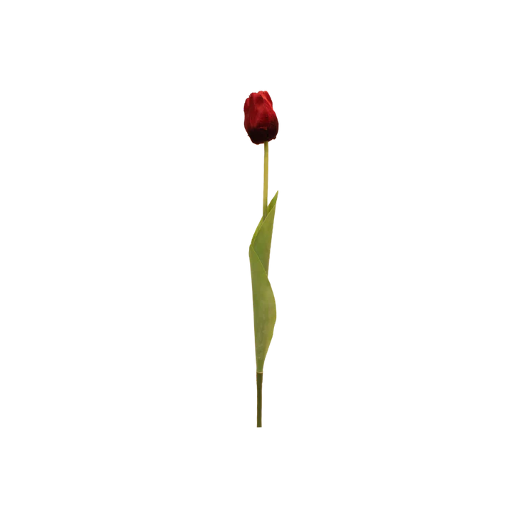 3 stk. Tulipaner i Burgandy (H48cm)